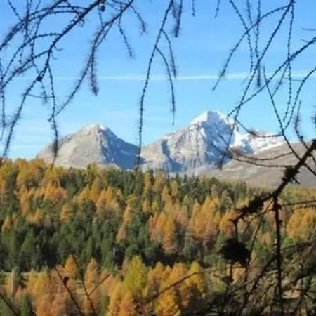 Chesa Basilisk 1 - Oev Inklusive * Pontresina